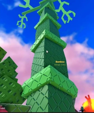 Garden Horizons Bamboo fully grown plant