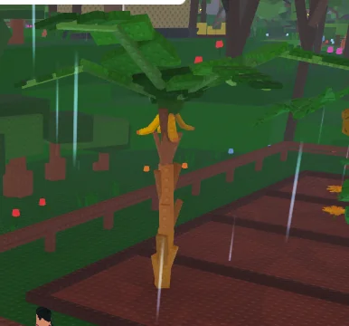 Garden Horizons Banana fully grown plant