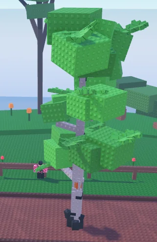 Garden Horizons Birch fully grown plant