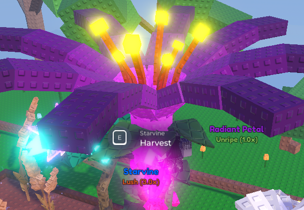 Garden Horizons Radiant Petal fully grown plant